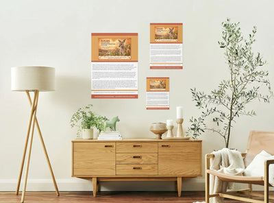 DJILBA SEASON POSTERS