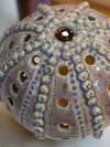 Sea Urchin Candle Holder - Serene Natural Tone