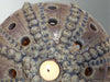 Sea Urchin Candle Holder - Serene Natural Tone