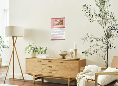 BIRAK SEASON POSTER
