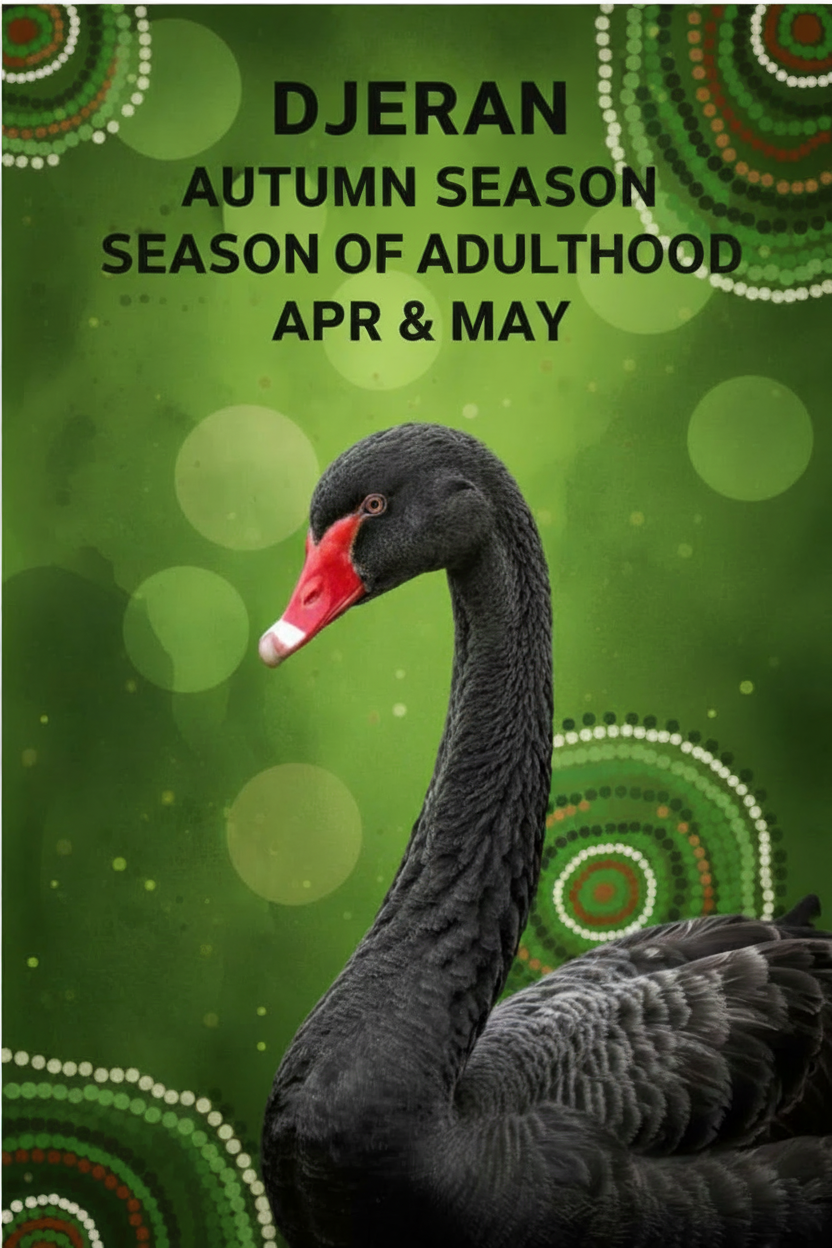 Djeran Season of Adulthood - corrected