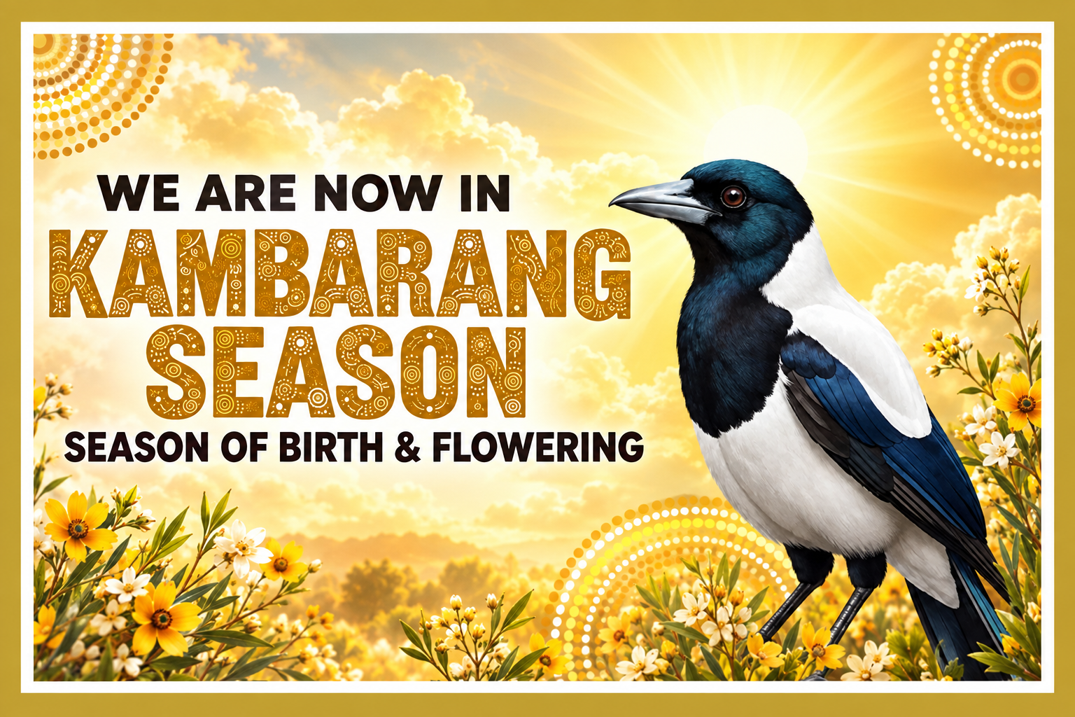 Kambarang season artwork with magpie and creative golden sky