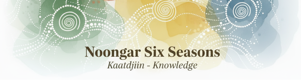 Noongar Six Seasons - Kaatdijin Knowledge